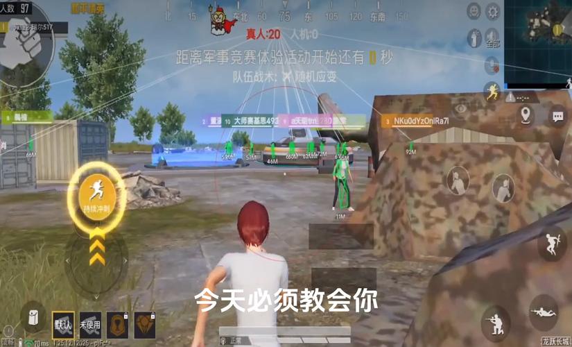 和平精英辅助【极目】